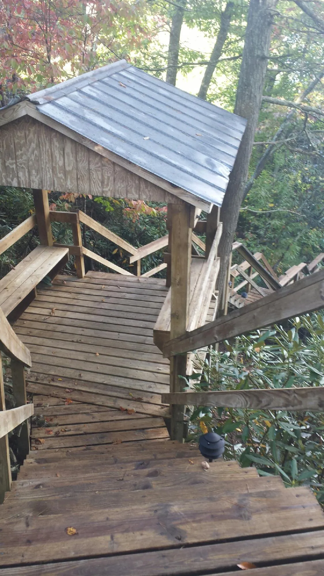 Metal roofed shelter over wooden steps on a wooded walkway — Skylight Repair & Installation work by our crew in Redwood