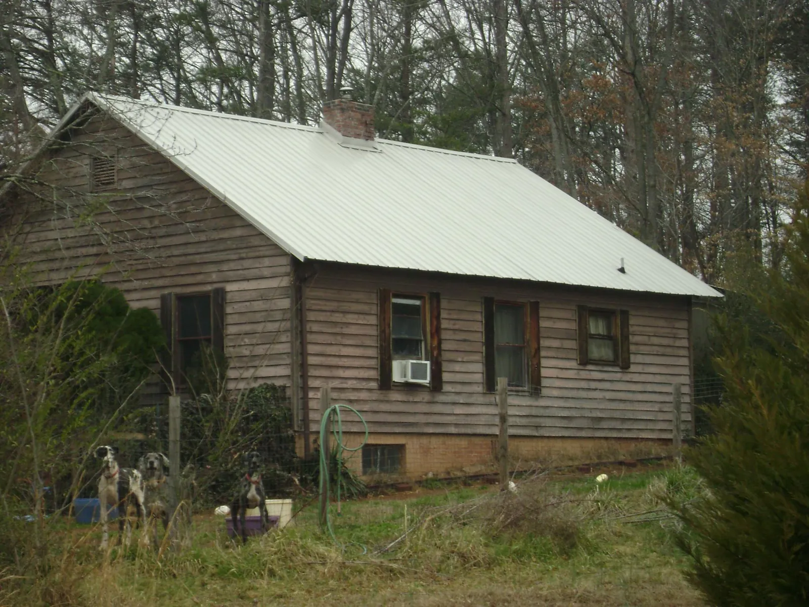 White metal roof on an old wood sided farmhouse, from a Asphalt Shingle Roof Repair job in Redwood